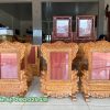 MẪU KHUNG ẢNH HOA MAI